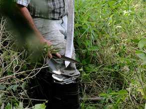 Sharpening the machete