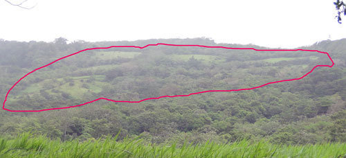 Project Hometree, La Tejona, Costa Rica