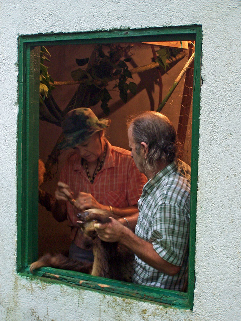Project Hometree, La Tejona, Costa Rica
