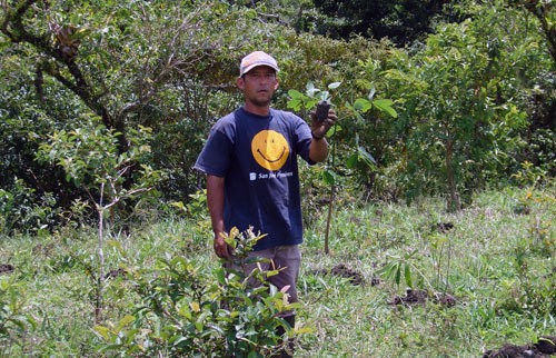 Project Hometree, La Tejona, Costa Rica