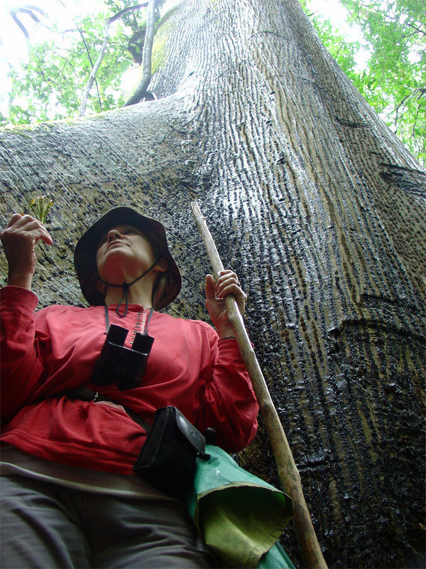 Project Hometree, La Tejona, Costa Rica