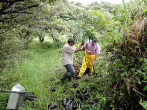 Miguel and Omar, placing the seedling in the hole