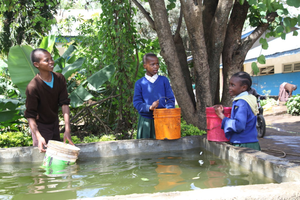 Clean water for 100,000 school children in Arusha - GlobalGiving
