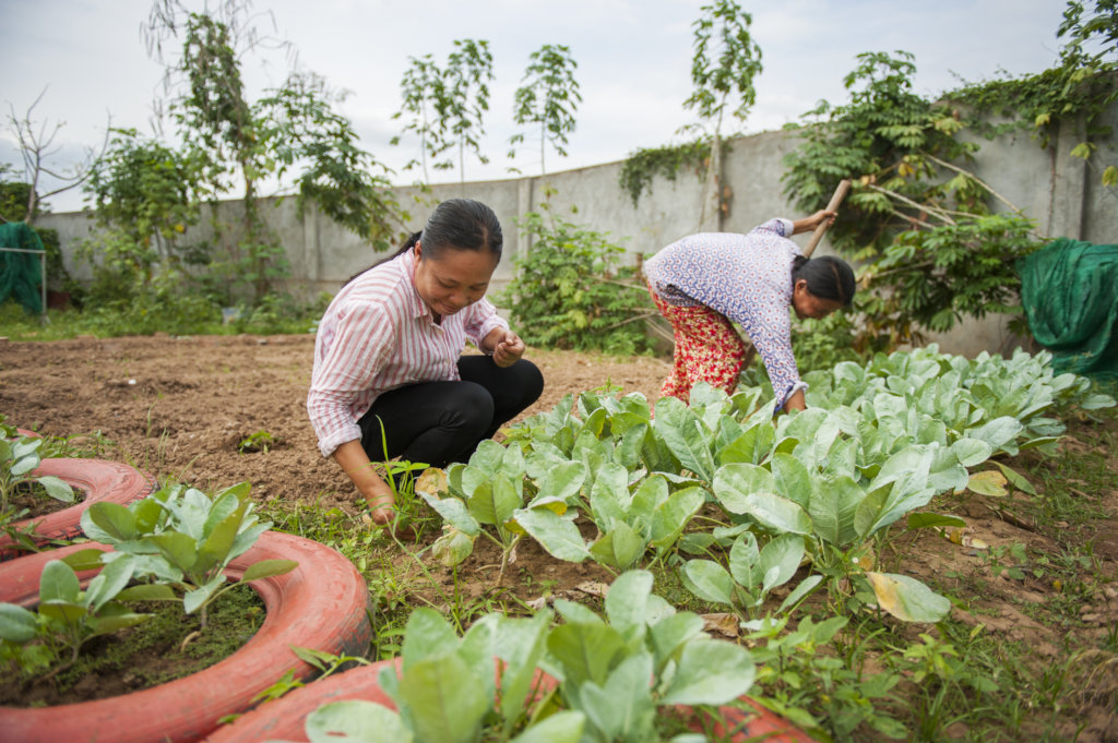 Provide Life-changing Skills to Cambodian Parents