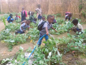 Pre-School children tending school garden