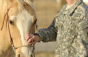 Horses for Veterans and First Responders with PTSD