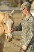 Horses for Veterans and First Responders with PTSD