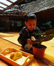 Learning the importance of plant care