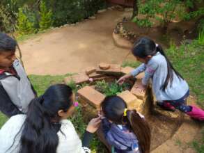 Explorando el jardin