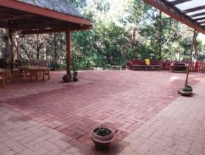 Nuestro patio ha mejorado