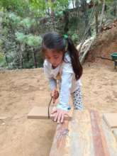 Working with wood