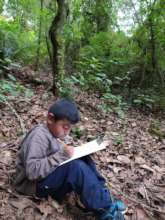 The forest, one of the favorite work spaces
