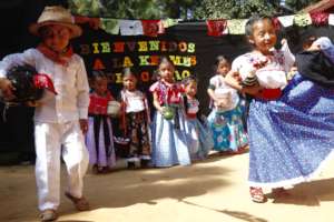 Cacao Festival
