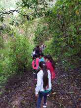 Days of activities in the forest