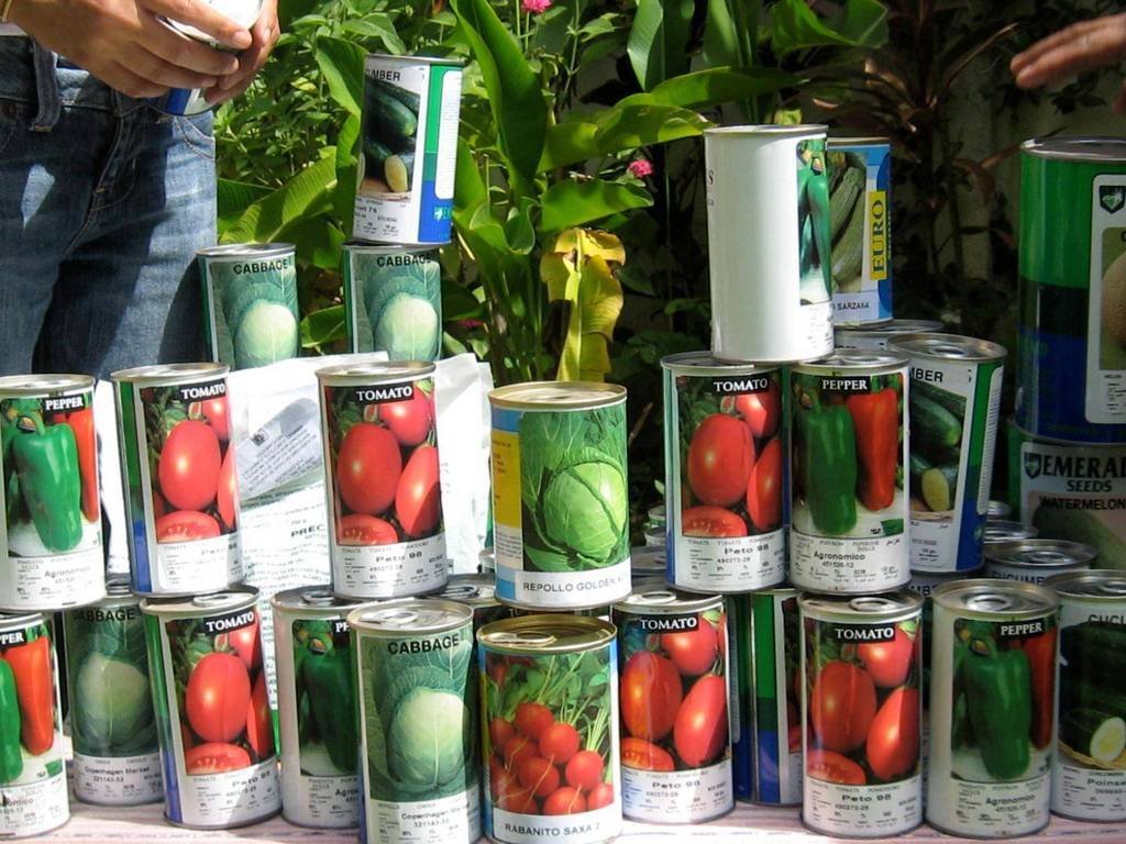 Urgent Action: Feed Hungry Families in Nicaragua