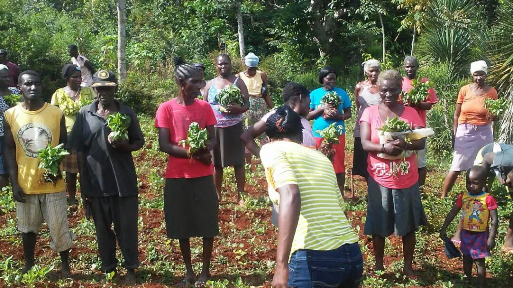 Transforming Haiti One Village at a Time