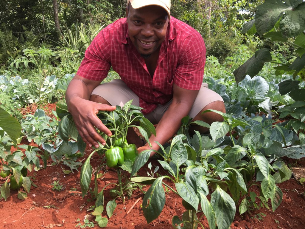 Transforming Haiti One Village at a Time