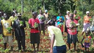 Community Gardens Provide Seedlings for All
