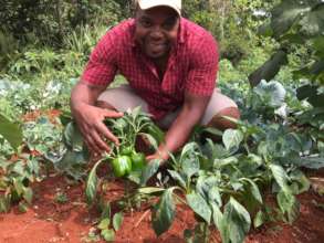 CEI Agronomist Arol