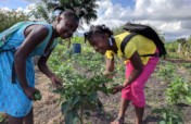 Help rural Haitian communities thrive!