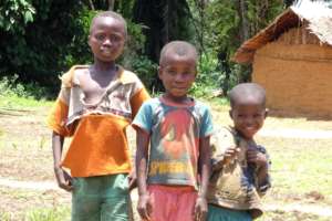 Future bonobo trackers