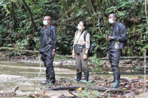 Researcher Leveda Chang (middle) at Kokolopori