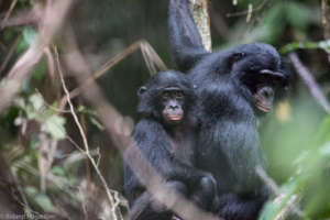 Freddy (left) and his mother Fitz