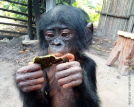 Enjoying a snack before her trip to the sanctuary