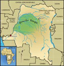 Bonobo Range