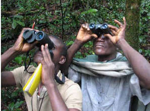 Ecoguards: Lokondja Mbangi & Loola Likenge