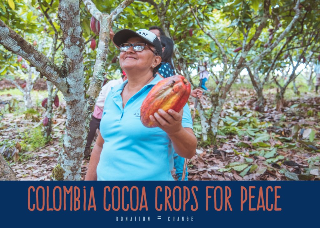 Help Cocoa for Peace. Colombia