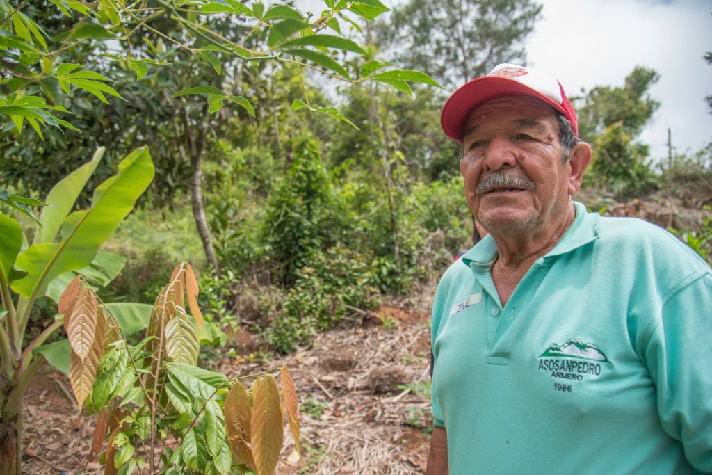 Help Cocoa for Peace. Colombia