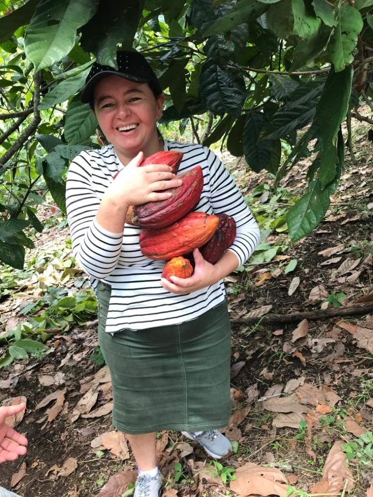 Help Cocoa for Peace. Colombia