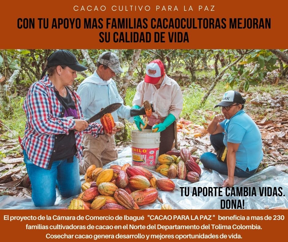 Help Cocoa for Peace. Colombia