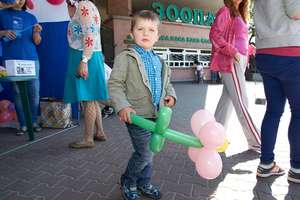 Balloons of goodness at the zoo