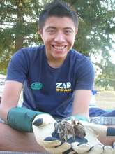 Zoo Animal Presenter
