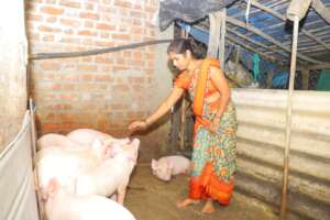 Confidence of a Hardworking Woman in Pig Farming