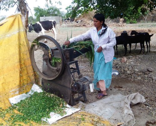 Manisha at her farm