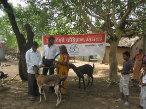 Providing Vaterinary Courses in the field