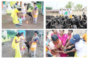 Sunita, Mann Deshi's Goat Doctor Madam