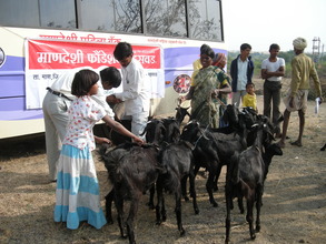 Vaterinary Camps through Mobile B-School