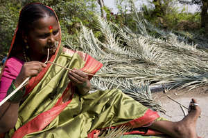 Lakshmi- Mann Deshi Borrower