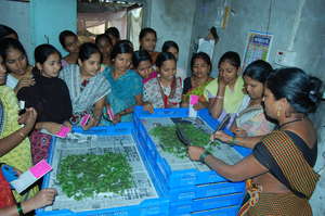 Agriculture Workshops