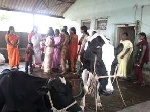 Animal Husbandary workshop