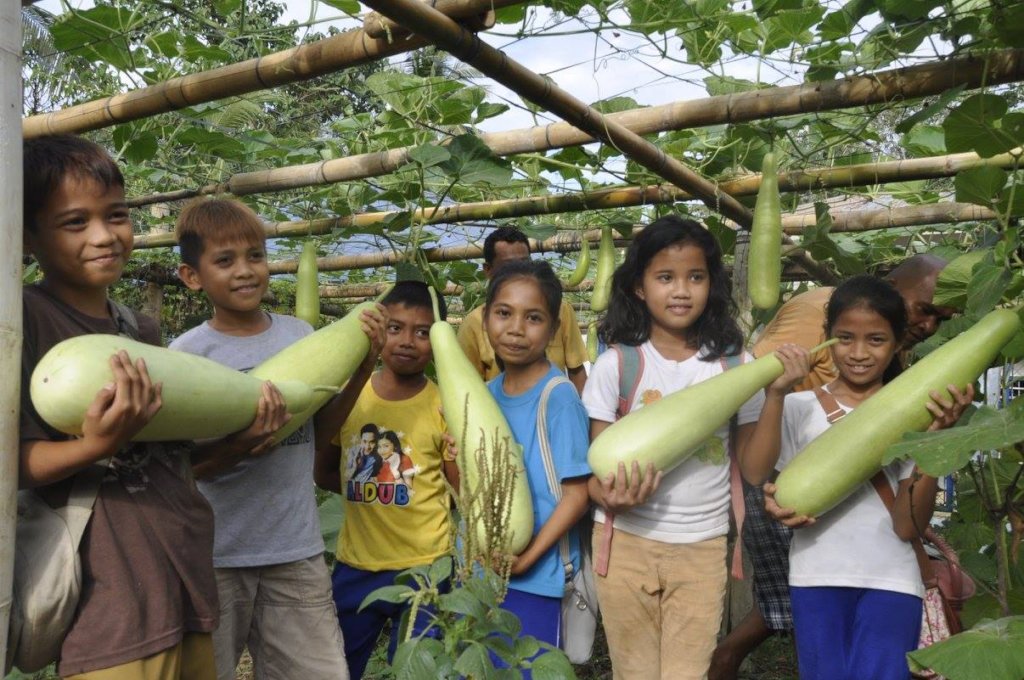 School Gardens Defeat Hunger for 500 Children