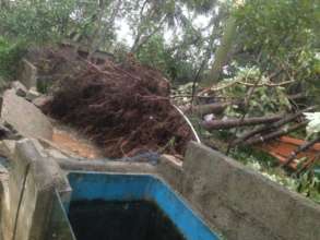 varrtha cyclone damage6