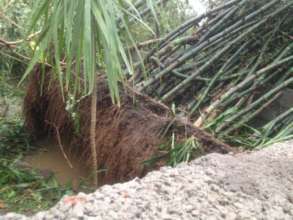 varrtha cyclone damage7