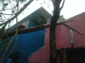 varrtha cyclone damage8