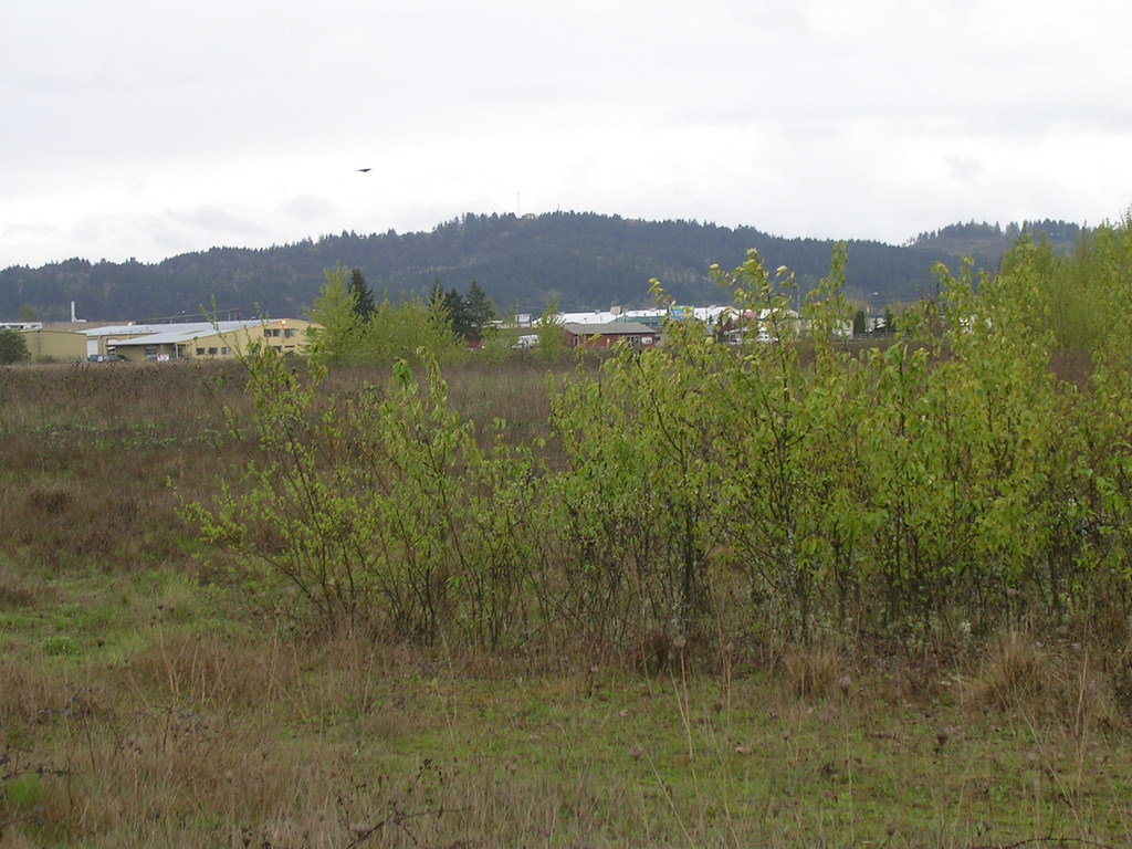 Portland Ethnobotany Project