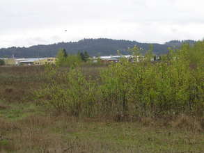 Development pressures on open space